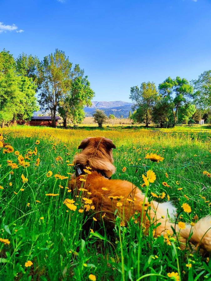 Lugar Da Pedra Alta - B&B - Private Historical Villa Melo Екстериор снимка