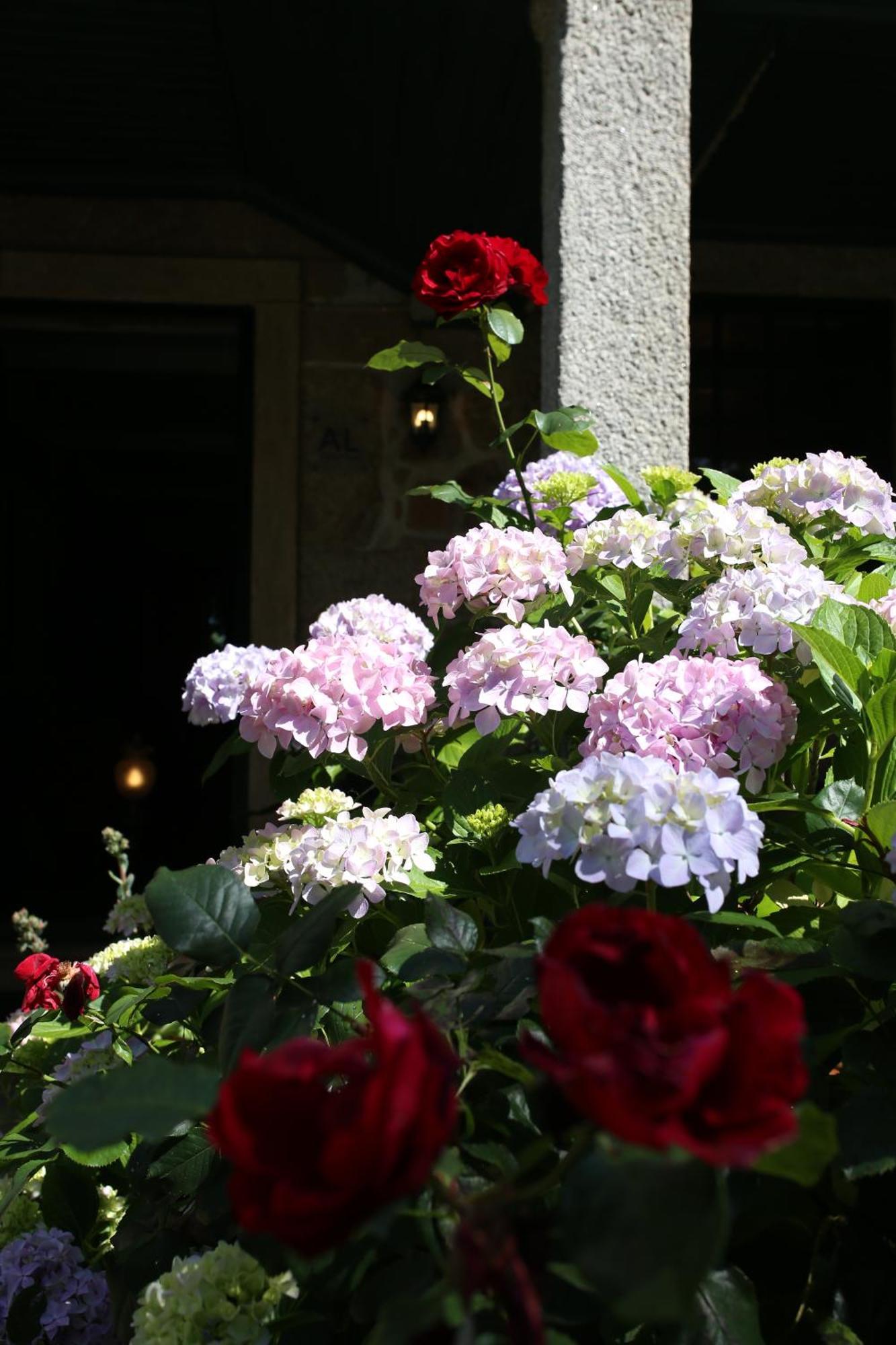 Lugar Da Pedra Alta - B&B - Private Historical Villa Melo Екстериор снимка