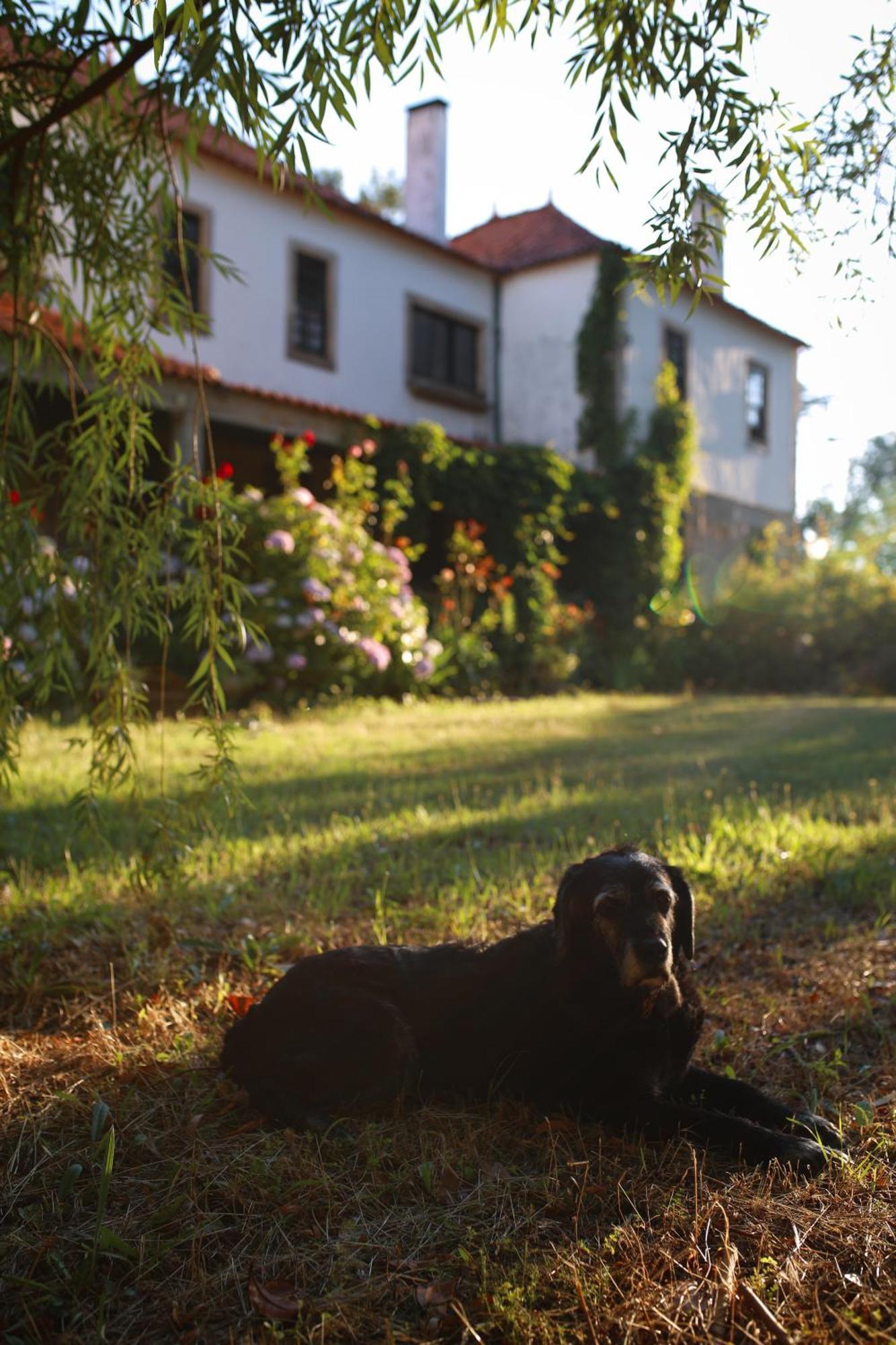 Lugar Da Pedra Alta - B&B - Private Historical Villa Melo Екстериор снимка